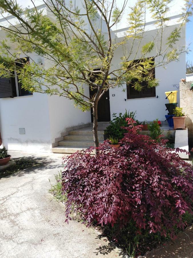 Casa Alessandra Apartment Surbo